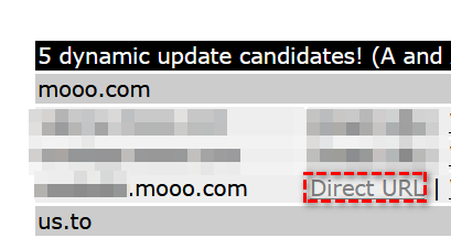 到Dynamic DNS，選到自己的DNS，複制Direct URL連結
